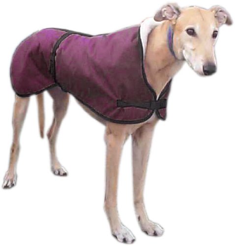 Greyhound-Lurcher-Coat-Fleece-Lined-Water-Resistant