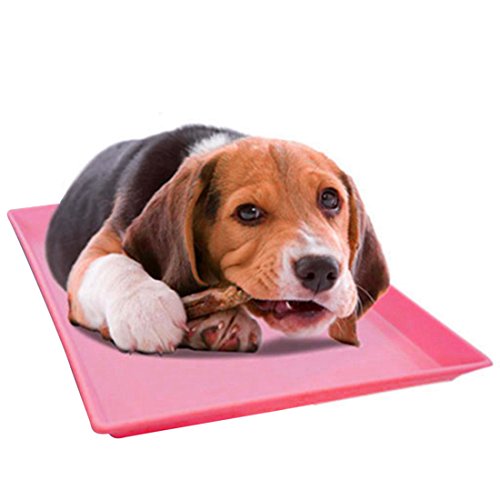 Qianle-Pet-Training-Pad-Pee-Holder-Puppy-Indoor-Toilet-Tray-for-Dog-Cage