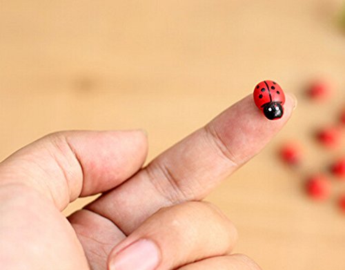 100x Da.Wa Miniature Fairy Garden Ladybugs Sticker Ornament Home Decoration Outdoor reviews 100x Da.Wa Miniature Fairy Garden Ladybugs Sticker Ornament Home Decoration Outdoor