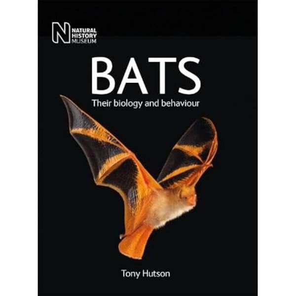 Buy Bats: A World of Science and Mystery Book Online at Low