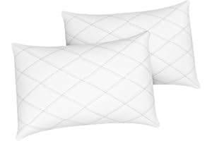 IMFAA Quilted Pillow Protector Pack of 2 - Soft and Comfortable Microfiber Pillowcase Protectors - Ant-Allergy and Breathable Pillow Cover.(2 x Quilted-Flap)