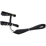 Katzenleine Katzengeschirr Katzengarnitur Katzengeschirr mit Leine Nylon 120 cm x 10 mm Rot/Schwarz/Pink/Blau