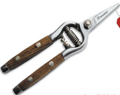 Preisvergleich Produktbild Profi - Gartenschere (Floristenschere), Länge 17cm