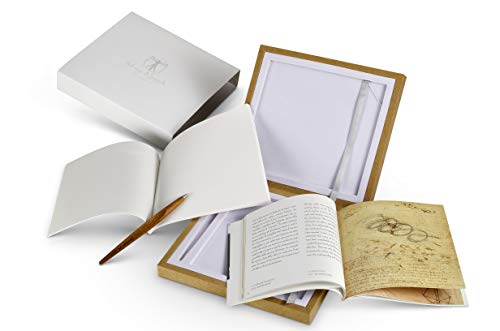 Forever Pluma 500th Leonardo Da Vinci - Juego de pluma estilográfica con punta de Ethergraf + Notebook