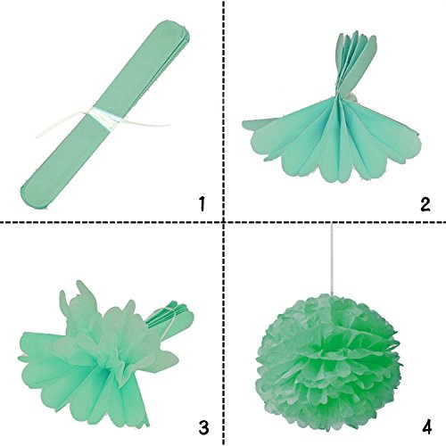 Wartoon 6 Seidenpapier Pompons Blumen und 12 Quasten Girlande, 2 Polka Dot Papier Girlande, 10 Luftballons Latexballons für Geburtstag, Hochzeit, Baby Dusche, Parteien, Partei Dekoration - 6