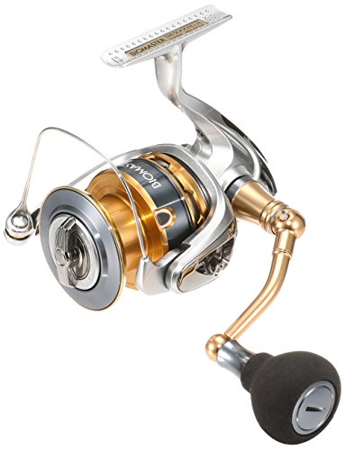 Preisvergleich Produktbild Shimano Biomaster SW, 4.8: 1, Gr. 5000