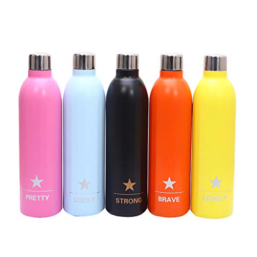 Rcool Bottiglia Acqua in Acciaio Inox, Portatile Bottiglia Termica, Sportiva Palestra Borraccia Senza BPA Termica Isolamento Sottovuoto a Doppia Parete, a Prova di perdite, 500ml (Pink)