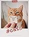 #cats Postkartenkalender 2020. Wochenkalendarium. Blockkalender. Format 12 x 15 cm by 