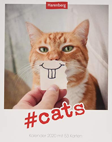 #cats Postkartenkalender 2020. Wochenkalendarium. Blockkalender. Format 12 x 15 cm