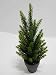 Produktbild Fichte Tanne Tannenbaum Dekopflanze Kunstpflanze H 35 cm getopft 301723-00 F37
