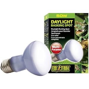 Exo Terra Daylight Basking Spot Mehrzweck-Spotlampe 50W