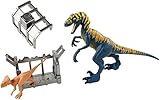 mattel jurassic world velociraptor blue  Jurassic World Velociraptor MICROCERATUS