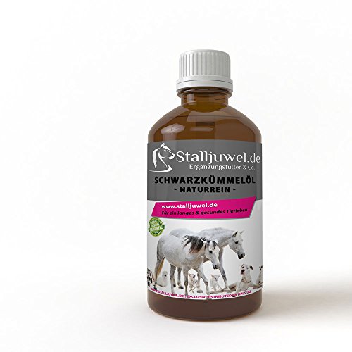 Preisvergleich Produktbild Schwarzkümmelöl 250ml naturrein für Pferde Immunsystem Allergien Haut&Fell