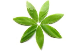 HOBBY ISLAND MOSAICS Craft Mosaic Tiles - Large Petals - Stained Glass - Green Tea 50g