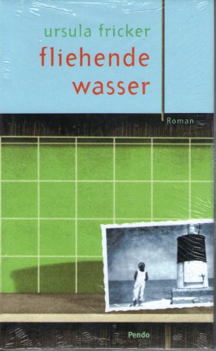 Fliehende Wasser: Roman
