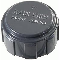 PVC-Verschraubung/Verteiler Rain Bird Kappe 1" Innengewinde