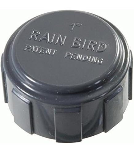 Raccordo Distributore Rain Bird A 4 Vie In PVC: Per Impianti Di Irrigazione, Filettatura Da 1 Pollice