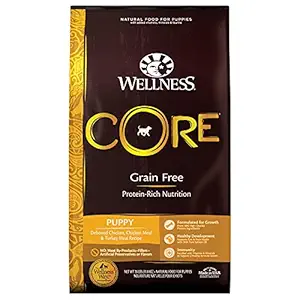 Wellness CORE Natural Grain Free Dry Dog Food, Puppy, 26-Pound Bag