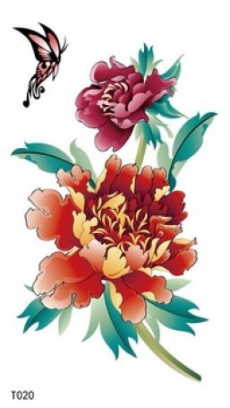 Design Colorées Pivoine
