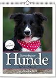 Wochenwandkalender: Literarischer Hunde-Kalender 2019. Vierfarbig, Format 24 x 32 cm by