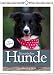 Wochenwandkalender: Literarischer Hunde-Kalender 2019. Vierfarbig, Format 24 x 32 cm by