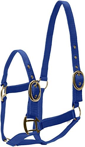 Horses Nylon Head Collar  Royal Blue Full