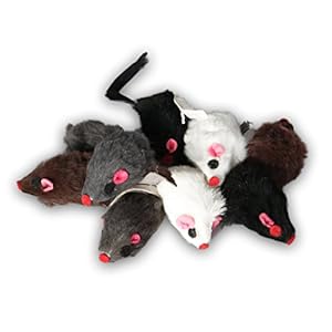 Ratón de pelo real de EBI, juguete ideal para gatos, ratones de piel en set, cada uno de 5 cm.