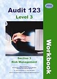 Image de Audit 123: Risk Management Section 3: Level 3 Workbook