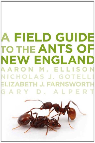 Preisvergleich Produktbild A Field Guide to the Ants of New England