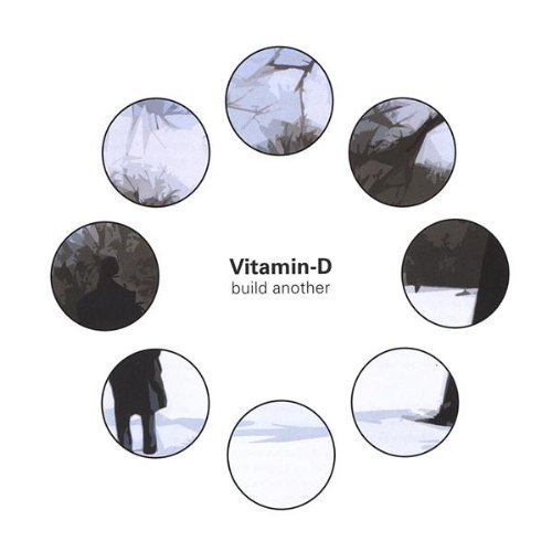Preisvergleich Produktbild Build Another by Vitamin-D (2004-05-03)