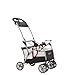 Safety 1st Clic It Infant Seat Carrier, Black/Silver (Baby/Babe/Infant - Little ones)