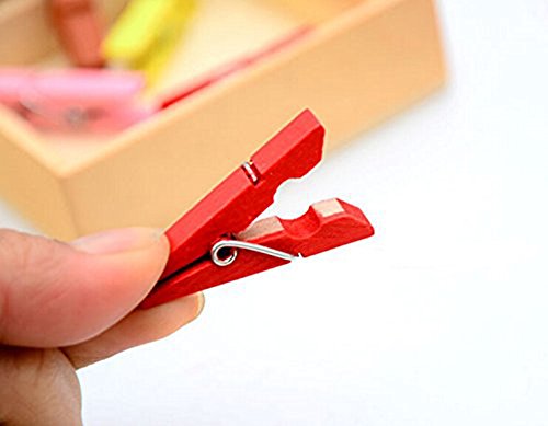 Leisial 50 Stück Mini Foto Clip Wäscheklammern aus Holz,Schwarz - 2