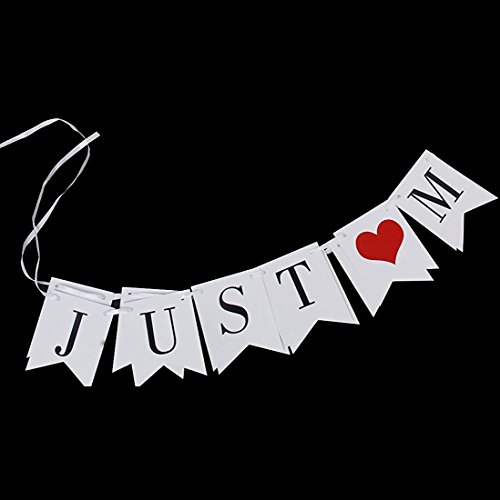 Banner – TOOGOO(R) Just Married Hochzeit Braut Westlichen Parteidekoration Bunting Girlande Banner - 5