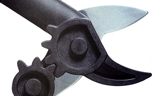 Fiskars PowerGear Amboss-Getriebeastschere für trockenes und hartes Holz, Antihaftbeschichtet, Gehärteter Präzisionsstahl, Länge 40 cm, Schwarz/Orange, L31, 1000581 - 5