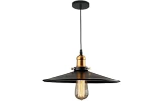 PETITES ECREVISSES Suspension Industrielle Lampe de Plafond Abat-jour en Métal Ø26cm, Rétro Plafonniers Lustre Décoration pour Cuisine, Salon,Chambre, Couloir, Noir