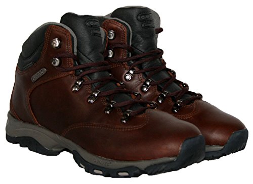 « Click to Enlarge and to go to Amazon »