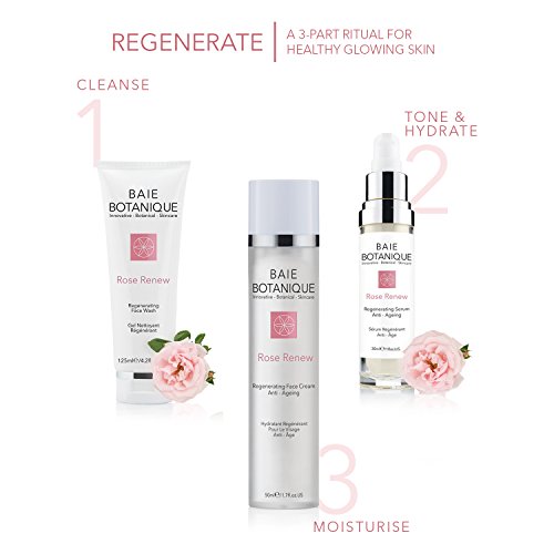 Baie Botanique – Anti-Aging Gesichtscreme – Mit Rosenwasser, Rose Absolue, Hagebuttenkernöl, Glykolsäure, Vitamin C, MSM, Grüner Tee, Peptide - 4