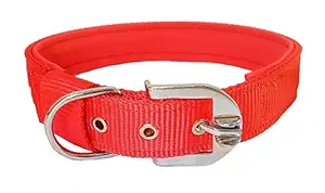 Petley Pure Nylon Pin-Buckle Dog Collar with Ultra-Soft Comfortable Padding Inside, Suitable for Medium Dogs Samoyed, Cocker Spaniel, Corgi, Bull-Dog, Whippet (Red)
