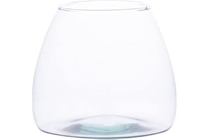 Landare Terrario Piante - Terrarium Vetro con Piante - Vaso Vetro Trasparente - Terrarium Vetro - Terrario Vetro - Terrario Piante Vetro - Vaso per Terrarium (14,5 x 12 cm)