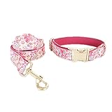 *** Merkmale: Einzigartiger Stil, Einfachheit und Funktion. Bitte messen Sie den Halsumfang Ihres Haustieres, empfehlen wir die Kragenweite 3 cm größer als tatsächliche Hals sein sollte. Bitte beachten Sie die Detailgröße in der Beschreibung Bilder.