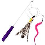 Anpro Katzenspielzeug Interaktiv