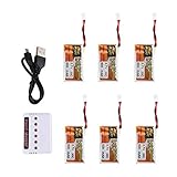 5.Kann Ladung 6 Batterien zur gleichen Zeit