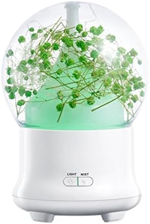 SinoFish Aroma Diffuser, 100ml Essential Oil Diffuser, Ultrasonic Aroma Humidifier, Aromatherapy Diffuser, Cool Mist, Auto off Air Purifiers, 7 Color Changing LED Lights, Eternal Flower(Green)