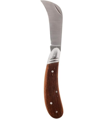 SA LAMETTA COLTELLO MANICO IN LEGNO DI ULIVO - Coltelleria