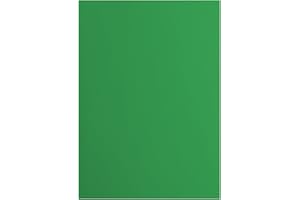 VAESSEN CREATIVE Florence Papier Cartonné Vert Lisse - A4 - Holly - 10 feuilles - 216 g/m² - Papier pour Scrapbooking, Carterie, Perforation et Faire Part de Mariage