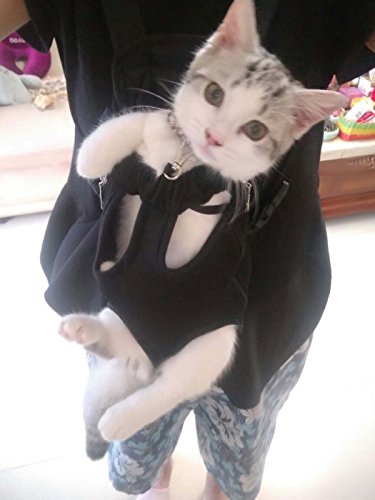 front facing cat carrier