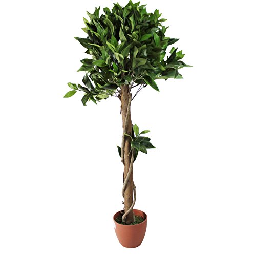 Hochwertige Kunstpflanzen in Kunststoff Topf für Wohnzimmer Büro Küche oder Bad Dekopflanzen Groß Kunstbaum XL mit Blätter Dekoration Zimmer (Var-1 120cm)