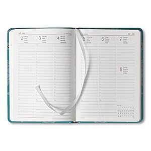 Ladytimer Turtles 2015 - Taschenplaner / Taschenkalender A6 - Weekly - 192 Seiten