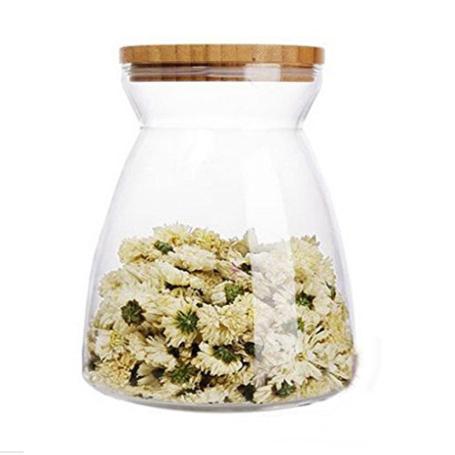 H förmigen Speicher mit Deckel Flasche Klarglas Vase für Pflanze Blume Dekor - 3