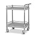 Produktbild Medizinischer Wagen Beweglicher Schönheitssalon-Griffwagen, 2-stufiger Grauer SPA-Rollwagen mit Nachlauf und Bremse, robuster ABS-Mehrzweckwagen (Farbe : L-64.5×44.5×90cm)